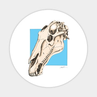 Horse Skull Magnet